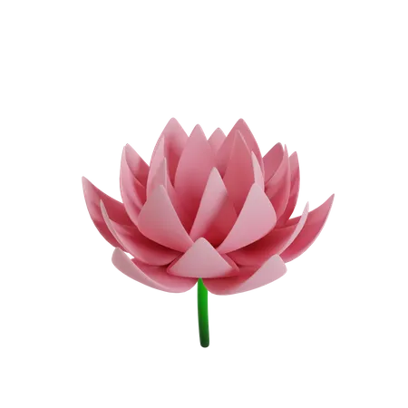 Flor  3D Icon