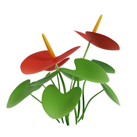 Flor  3D Icon