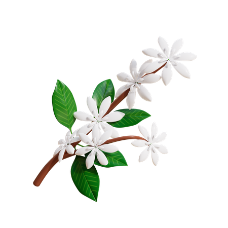 Flor  3D Icon