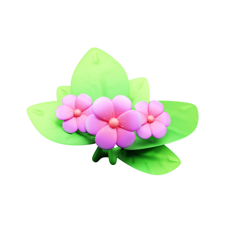 Flor  3D Icon