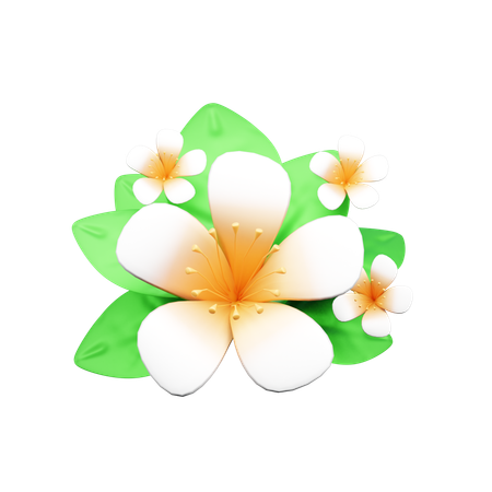 Flor  3D Icon