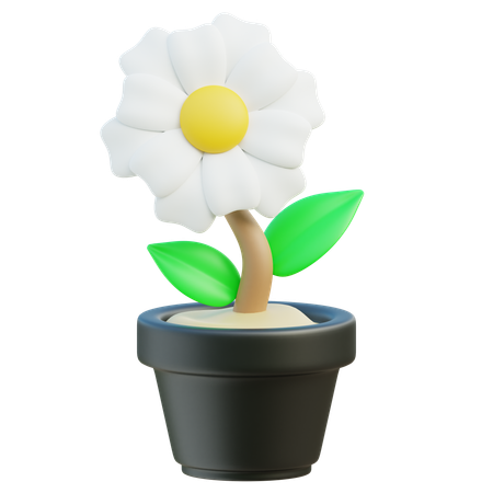 Flor  3D Icon