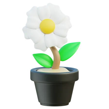 Flor  3D Icon