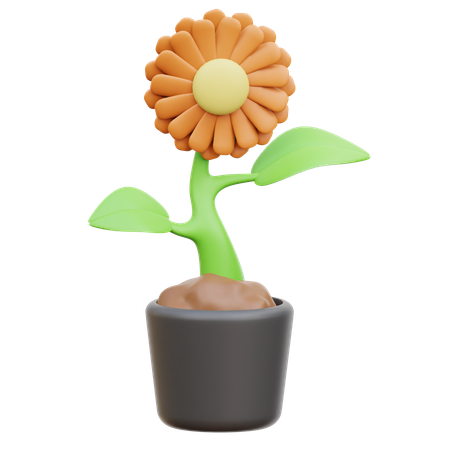 Flor  3D Icon