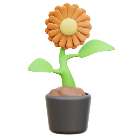 Flor  3D Icon