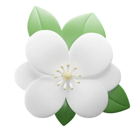 Flor  3D Icon