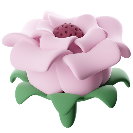 Flor  3D Icon