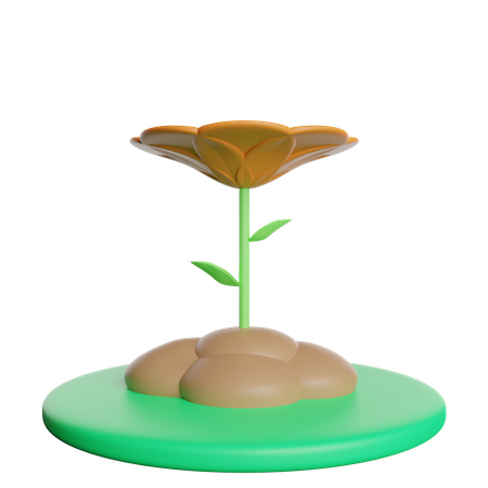 Flor  3D Icon