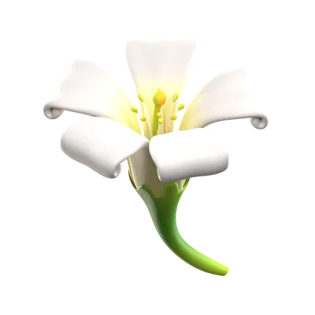 Flor amarela  3D Icon