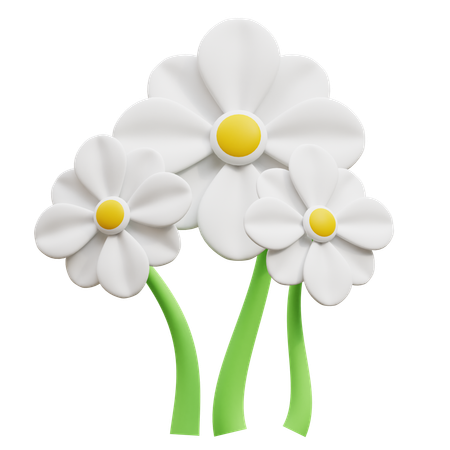 Flor blanca  3D Icon