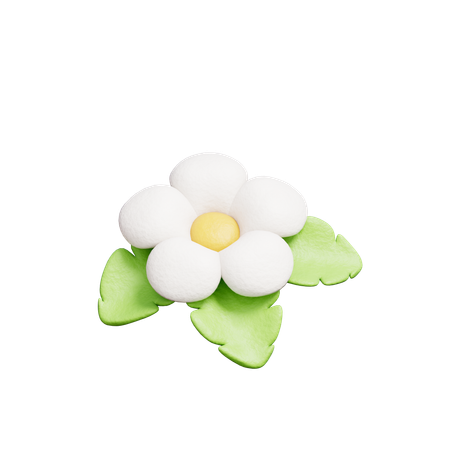 Flor blanca  3D Icon