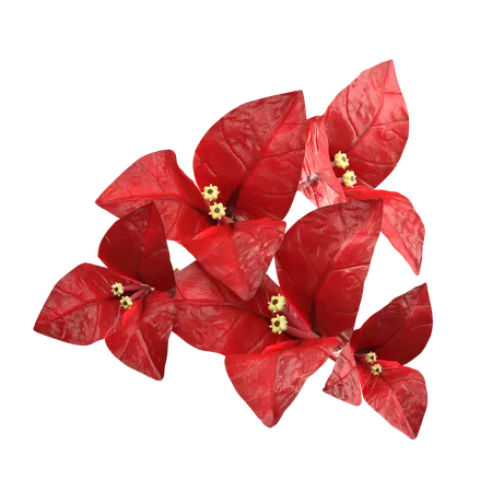 Flor roja de bougenville  3D Icon