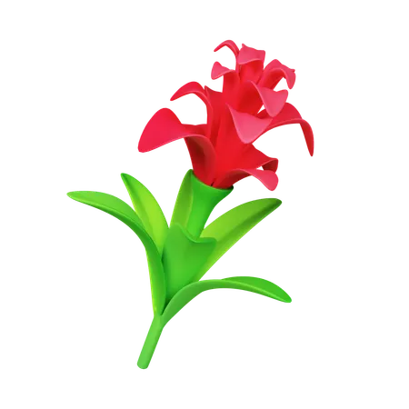 Flor de bromélia  3D Icon