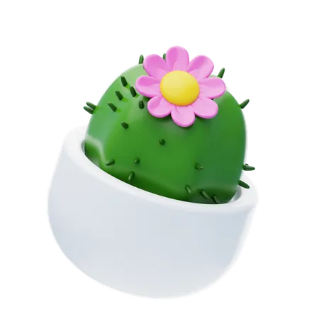 Flor de cacto  3D Icon