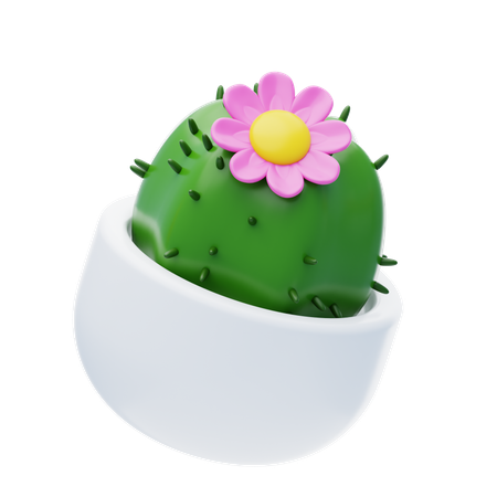 Flor de cactus  3D Icon