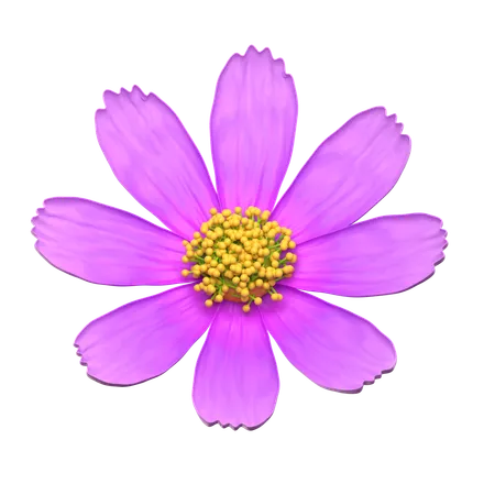 Flor violeta del cosmos  3D Icon
