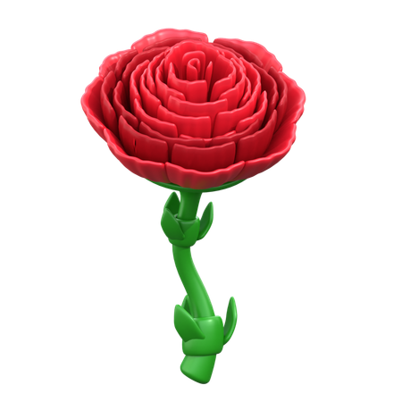 Flor de cravos  3D Icon