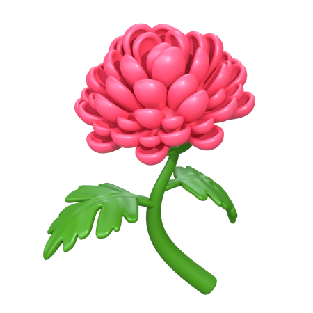 Flor de crisântemo  3D Icon