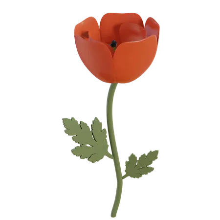 Flor de amapola roja  3D Illustration