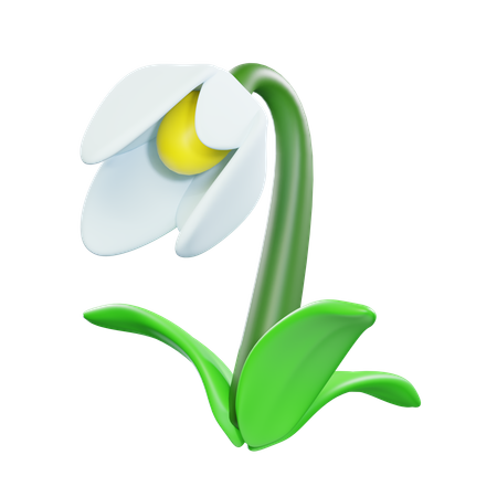 Flor de campanilla blanca  3D Icon