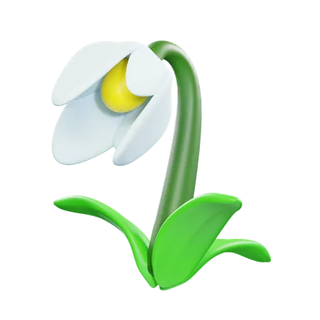 Flor de campanilla blanca  3D Icon