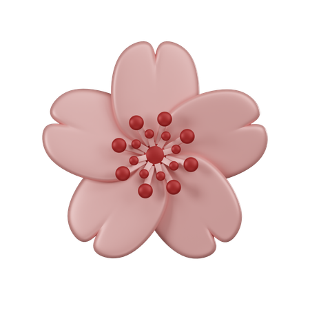 Flor de cerejeira  3D Icon