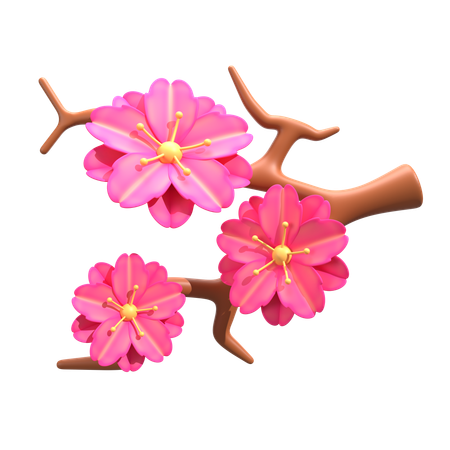 Flor de cerejeira  3D Icon