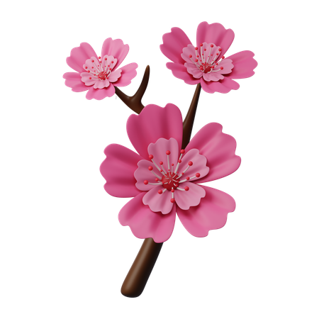 Flor de cerejeira  3D Icon