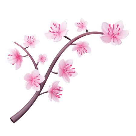 Flor de cerezo  3D Icon