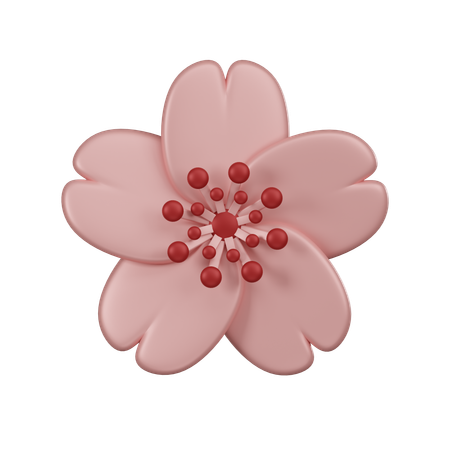 Flor de cerezo  3D Icon