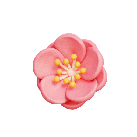 Flor de cerezo  3D Icon