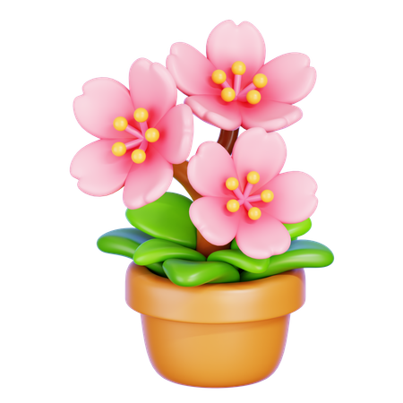 Flor de cerezo  3D Icon