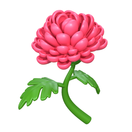 Flor de crisantemo  3D Icon