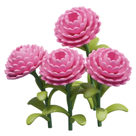 Flor de dalia  3D Icon