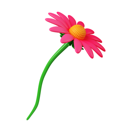 Flor de equinácea  3D Icon