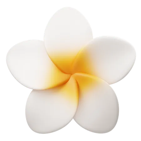 Flor de frangipani  3D Icon