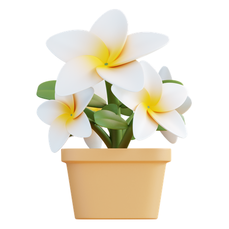 Flor de frangipani  3D Icon