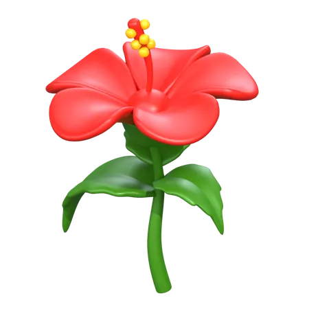 Flor de hibisco  3D Icon