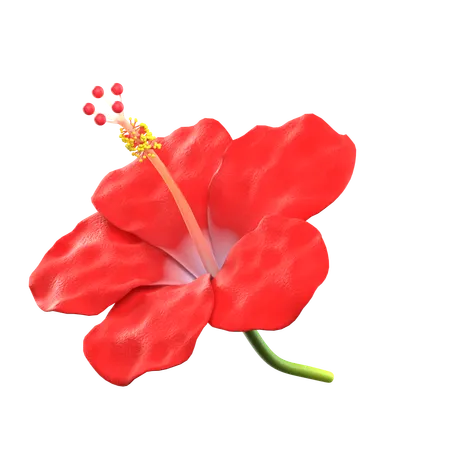 Flor Hibiscus  3D Icon