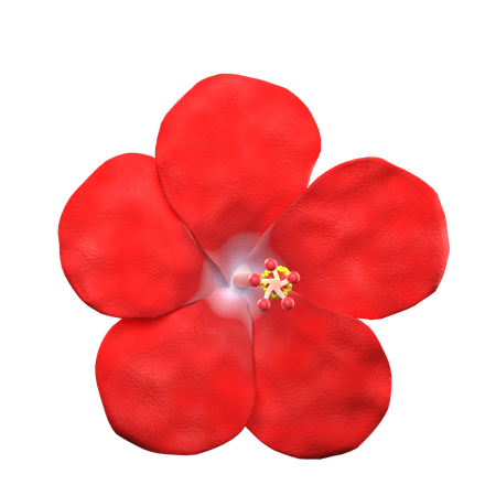 Flor Hibiscus  3D Icon