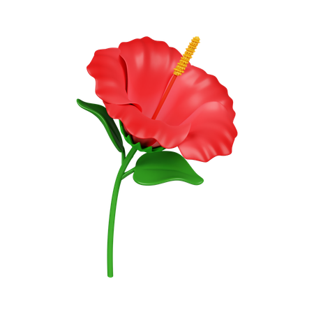 Flor Hibiscus  3D Icon