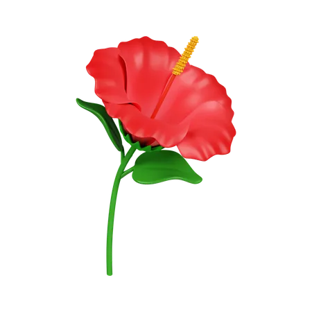 Flor Hibiscus  3D Icon