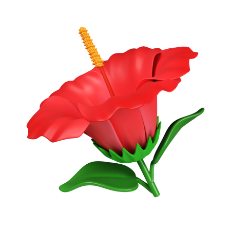 Flor de hibisco  3D Icon