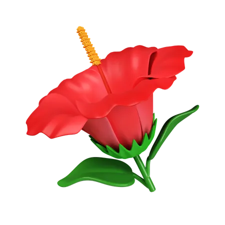 Flor de hibisco  3D Icon