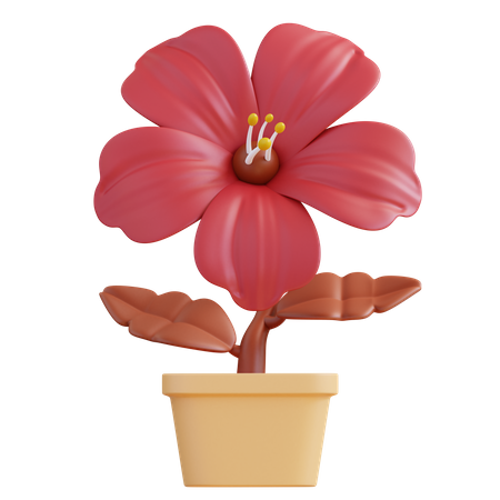 Flor de hibisco  3D Icon