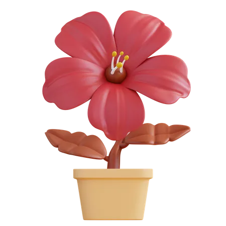 Flor de hibisco  3D Icon