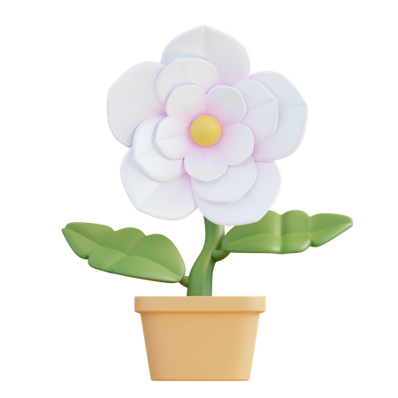 Flor de jasmim  3D Icon