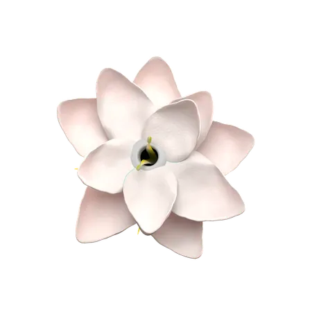 Flor de jazmín  3D Icon