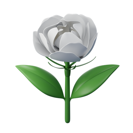 Flor de jazmín  3D Icon