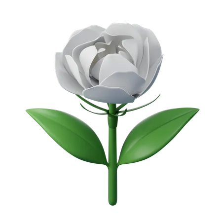 Flor de jazmín  3D Icon